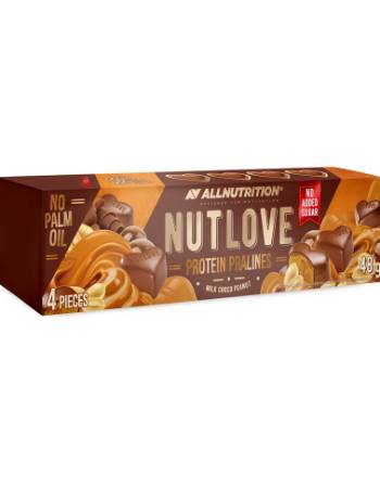 ALLNUTRITION  PROTEIN PRALINES MILK CHOCOLATE PEANUT 48G