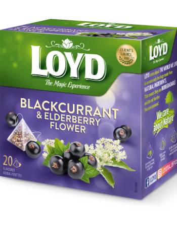 LOYD BLACKCURRENT & ELDERBERRY TEA (20 BAGS)