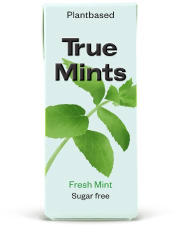 TRUE MINTS FRESH MINT 13G