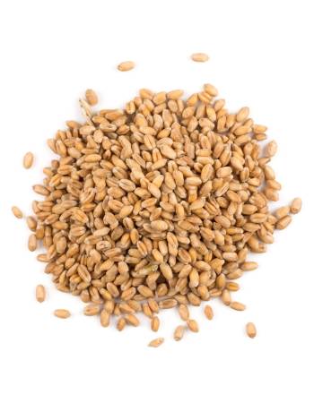 GOOD EARTH SPELT GRAIN 500G