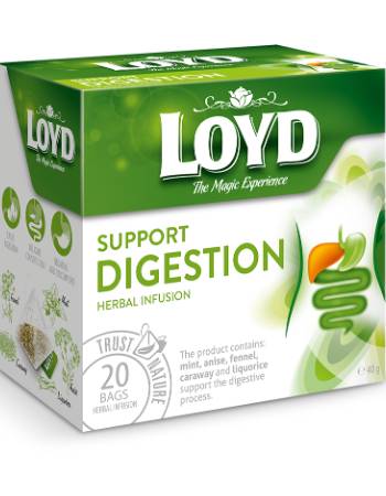 LOYD HERBAL SUPPORT DIGESTION TEA (20 TEABAGS)