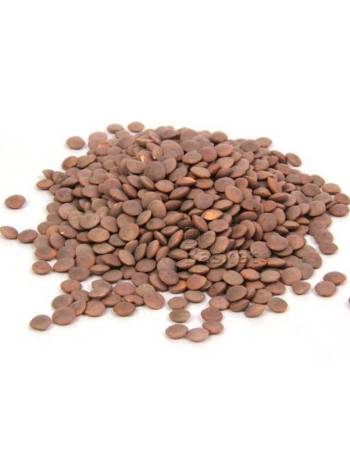 BUY IN BULK BROWN SPLIT LENTILS 500G