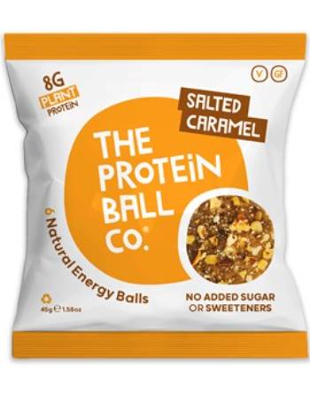 THE PROTEIN BALL PLANT PROTEIN 45G | SALTED CARAMEL