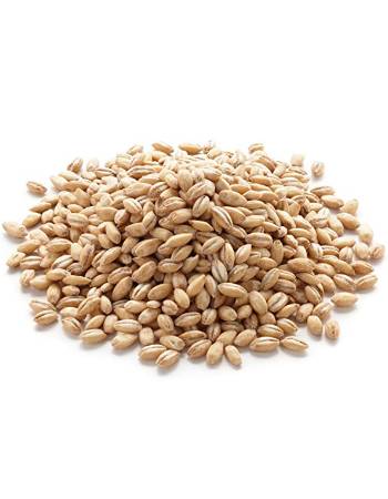 GOOD EARTH PEARL BARLEY 200G