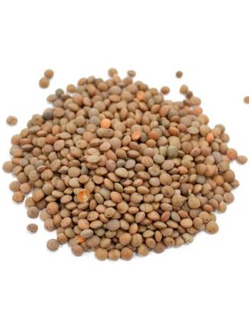 GOOD EARTH BROWN LENTILS 200G