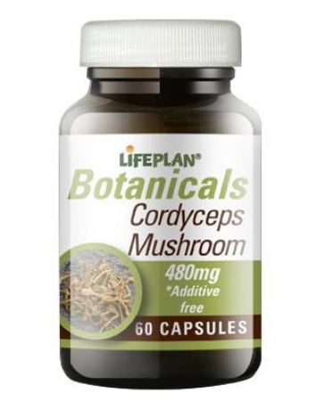 LIFEPLAN CORDYSEPS MUSHROOM 480MG 60CAPS