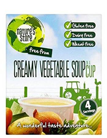 NATURES STORE CREAMY VEGETABLE - IN A CUP 4 X 20G