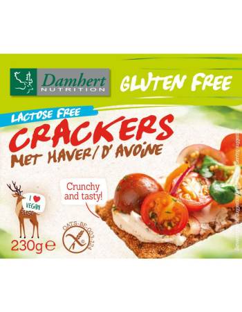 DAMHERT OAT CRACKERS 230G