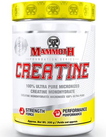 INTERACTIVE NUTRITION MAMMOTH CREATINE 300G