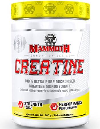 INTERACTIVE NUTRITION MAMMOTH CREATINE 300G