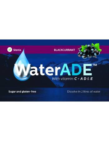 WATERADE BLACKCURRENT VITAMIN DRINK 10G