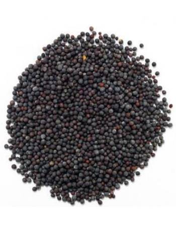 GOOD EARTH BLACK MUSTARD SEEDS 50G